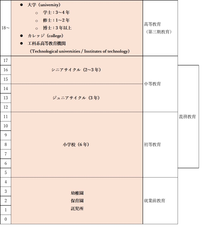 アイルランド教育制度図